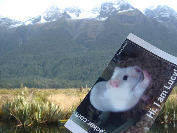 Extreme HamsterTrackin' in New Zealand by Natalie.