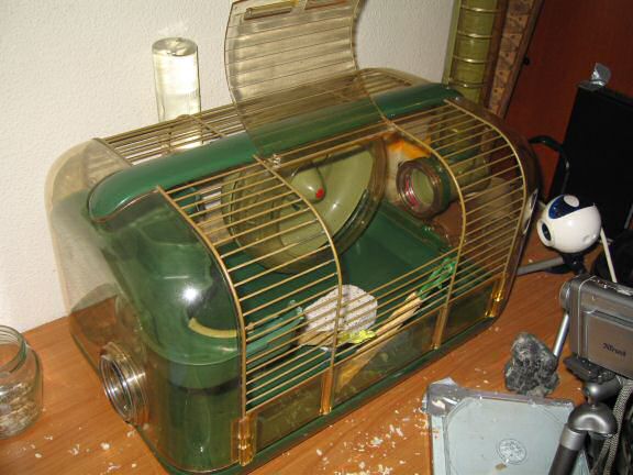 Picture of Lucy's cage after cleaning, almost ready.