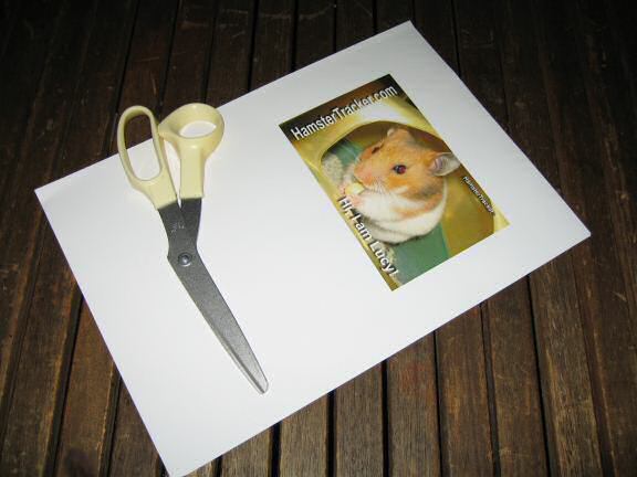 Picture of an Extreme HamsterTrackin' printout.