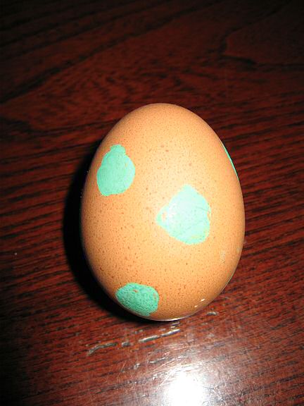 Picture of an egg Lucy got for Easter.