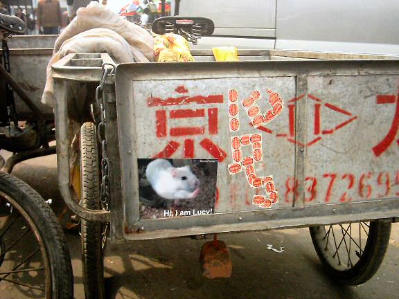 Lucy promotion on a cart on a market of Beijing.