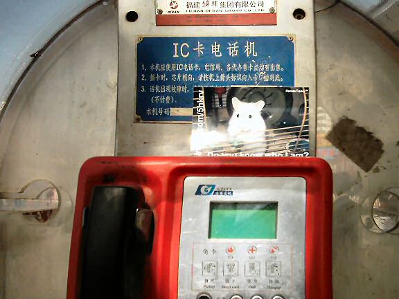 Lucy promotion in a Beijing public phone.