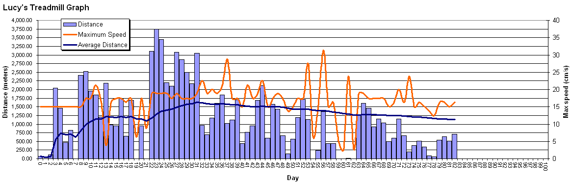 Lucy's statistical graph made on March 3, 2005 - 18:45.