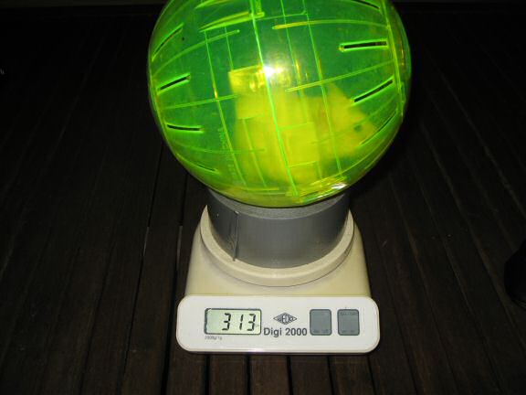 Picture of the weight of Lucy and her Explorer ball.