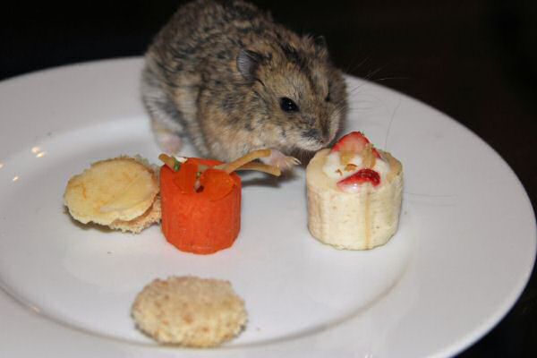 Happy Hamster Cookin' by Beth.