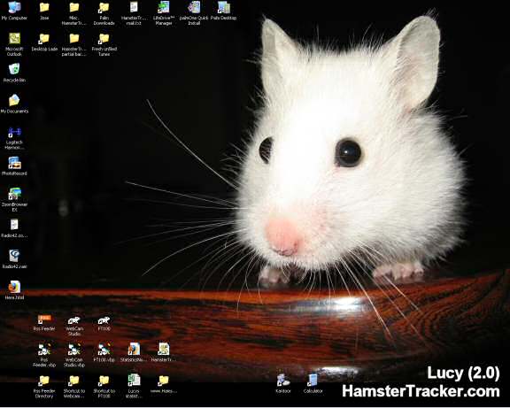 Snap shot of the new desktop wallpaper in use on my machine!