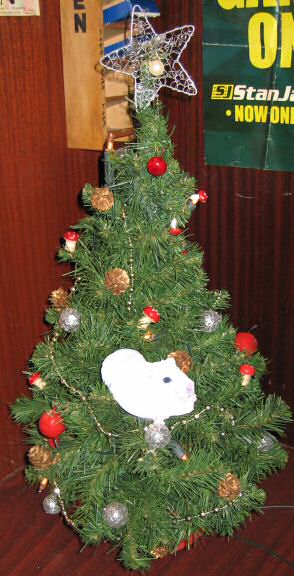 Picture of virtual hamster Lucy, climbing in a Xmas tree.