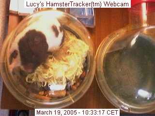 Another Snapshot of Lucy's webcam.