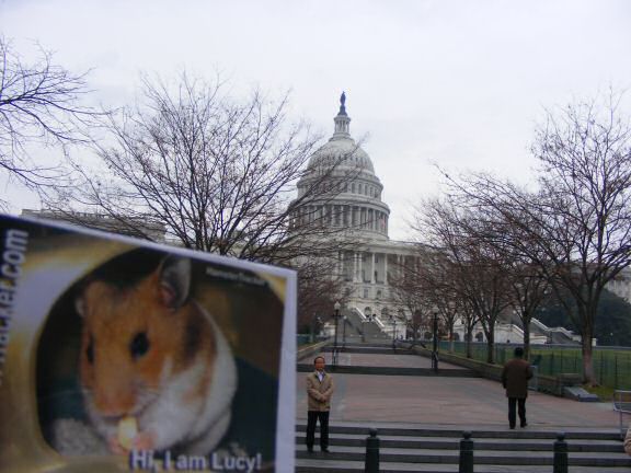 Extreme HamsterTrackin' Washington DC by Katie.