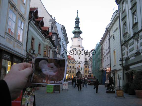Extreme HamsterTrackin' in Bratislava by Katie