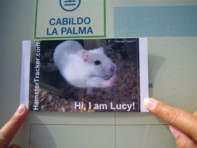 DIY Extreme HamsterTrackin' by DJane Vibrella and G-man, in La Palma, Spain.