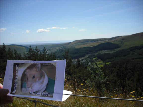 Extreme HamsterTrackin' Wales by Marion.