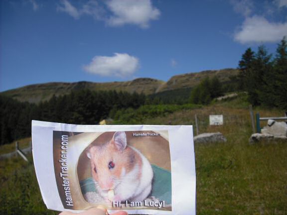 Extreme HamsterTrackin' Wales by Marion.