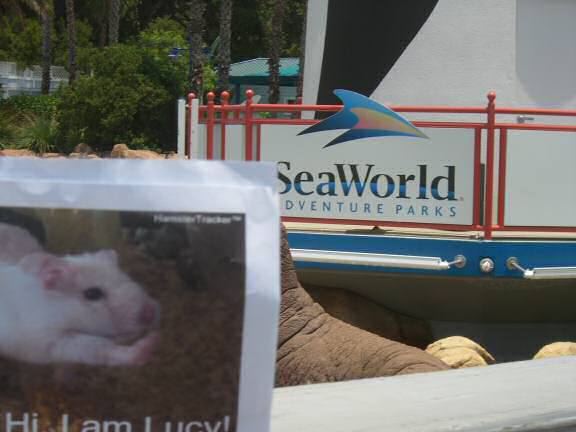DIY Extreme HamsterTrackin' in Sea World, Orlando, Florida - USA by Miguel!