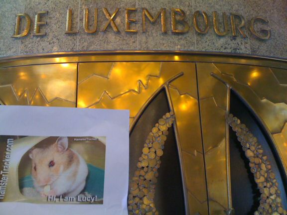 Exreme HamsterTracking Luxembourg by Miriam.