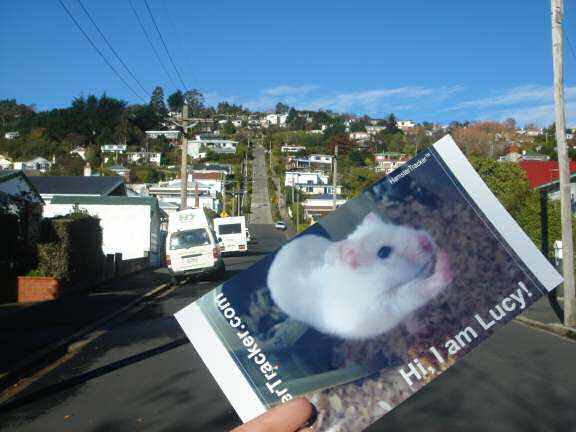 Extreme HamsterTrackin' in New Zealand by Natalie.
