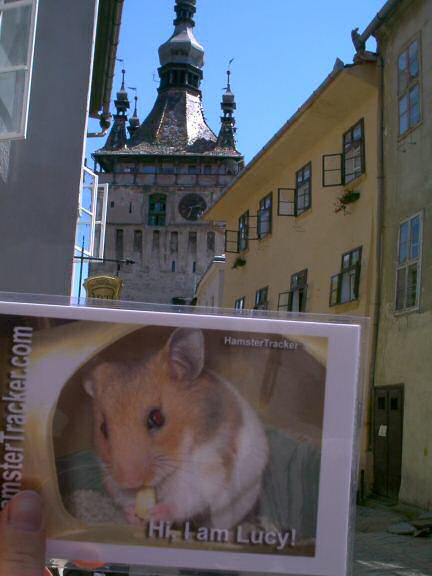Meet Psusennes, the hamster from Germany.