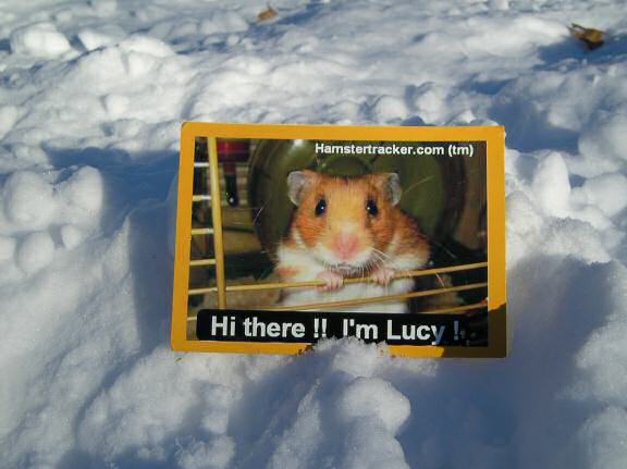 Extreme HamsterTrackin' by SLD in Kanasas USA.