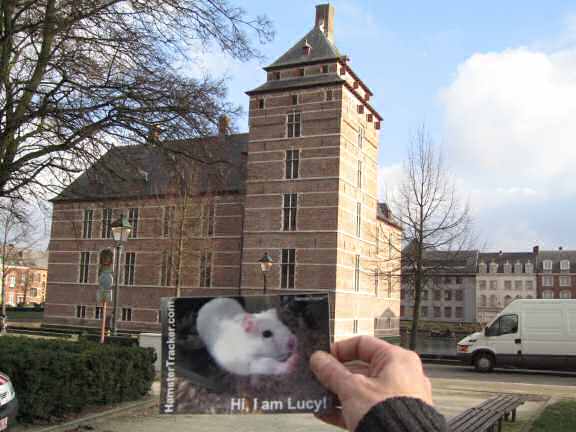 Extreme HamsterTrackin' in Turnhout, Belgium.